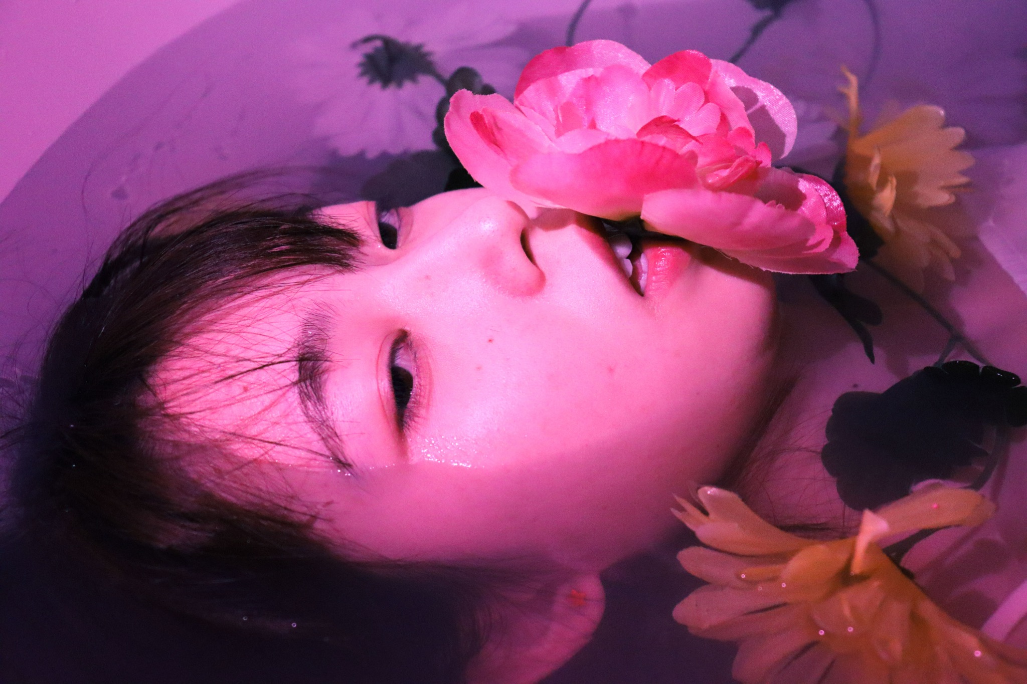 Pink flower portrait photography by Wenshu Yang